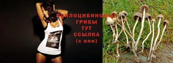 метадон Абаза