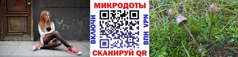 Галлюциногенные грибы Psilocybine cubensis  где можно купить наркотик  Южноуральск 